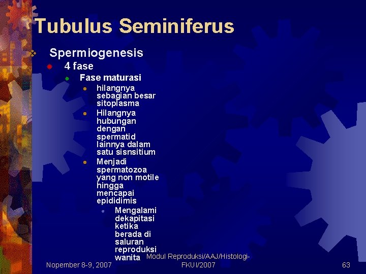 Tubulus Seminiferus v Spermiogenesis ® 4 fase ® Fase maturasi l l l hilangnya Tubulus Seminiferus v Spermiogenesis ® 4 fase ® Fase maturasi l l l hilangnya
