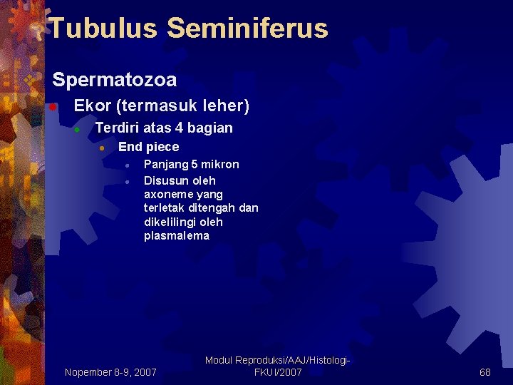 Tubulus Seminiferus v Spermatozoa ® Ekor (termasuk leher) ® Terdiri atas 4 bagian l