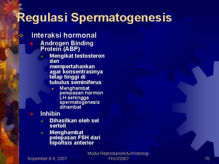 Regulasi Spermatogenesis v Interaksi hormonal ® Androgen Binding Protein (ABP) ® Mengikat testosteron dan