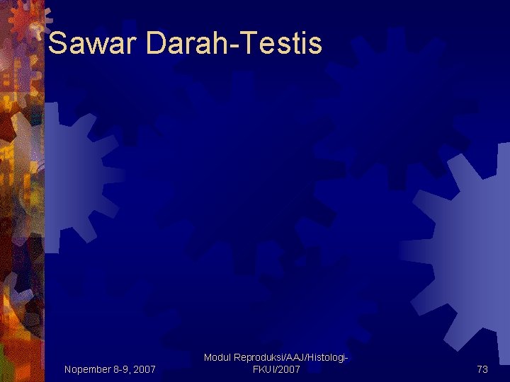 Sawar Darah-Testis Nopember 8 -9, 2007 Modul Reproduksi/AAJ/Histologi. FKUI/2007 73 Sawar Darah-Testis Nopember 8 -9, 2007 Modul Reproduksi/AAJ/Histologi. FKUI/2007 73