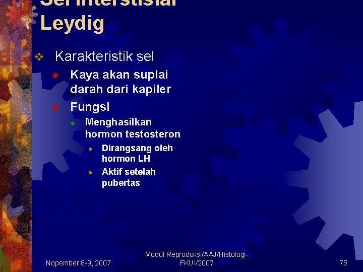 Sel Interstisial Leydig v Karakteristik sel ® ® Kaya akan suplai darah dari kapiler