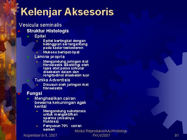 Kelenjar Aksesoris v Vesicula seminalis ® Struktur Histologis ® Epitel l l ® Lamina Kelenjar Aksesoris v Vesicula seminalis ® Struktur Histologis ® Epitel l l ® Lamina