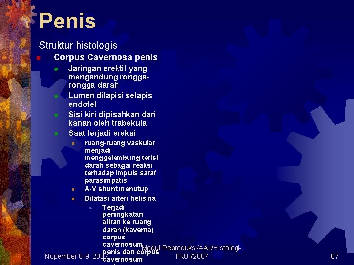 Penis v Struktur histologis ® Corpus Cavernosa penis ® ® Jaringan erektil yang mengandung Penis v Struktur histologis ® Corpus Cavernosa penis ® ® Jaringan erektil yang mengandung