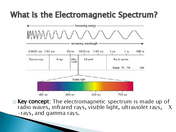 What Is the Electromagnetic Spectrum? � Key concept: The electromagnetic spectrum is made up