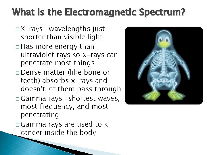 What Is the Electromagnetic Spectrum? � X-rays- wavelengths just shorter than visible light �