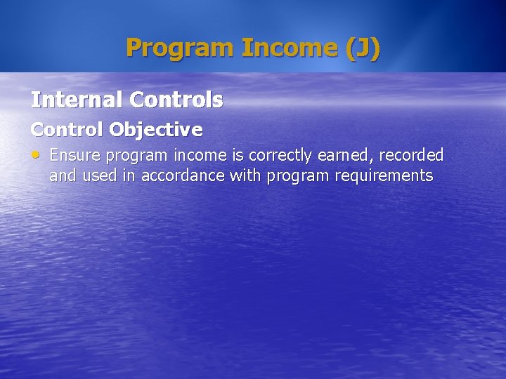 Program Income (J) Internal Controls Control Objective • Ensure program income is correctly earned, Program Income (J) Internal Controls Control Objective • Ensure program income is correctly earned,