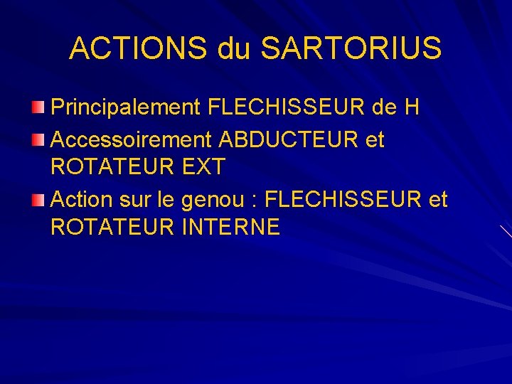 ACTIONS du SARTORIUS Principalement FLECHISSEUR de H Accessoirement ABDUCTEUR et ROTATEUR EXT Action sur