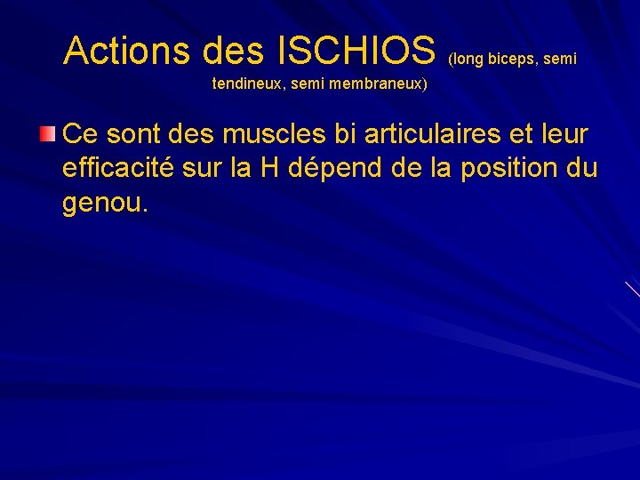 Actions des ISCHIOS (long biceps, semi tendineux, semi membraneux) Ce sont des muscles bi