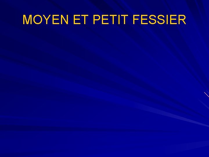 MOYEN ET PETIT FESSIER 