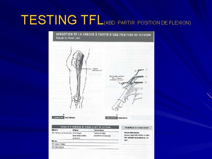 TESTING TFL (ABD PARTIR POSITION DE FLEXION) 