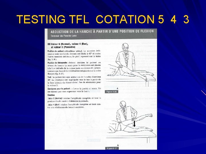 TESTING TFL COTATION 5 4 3 