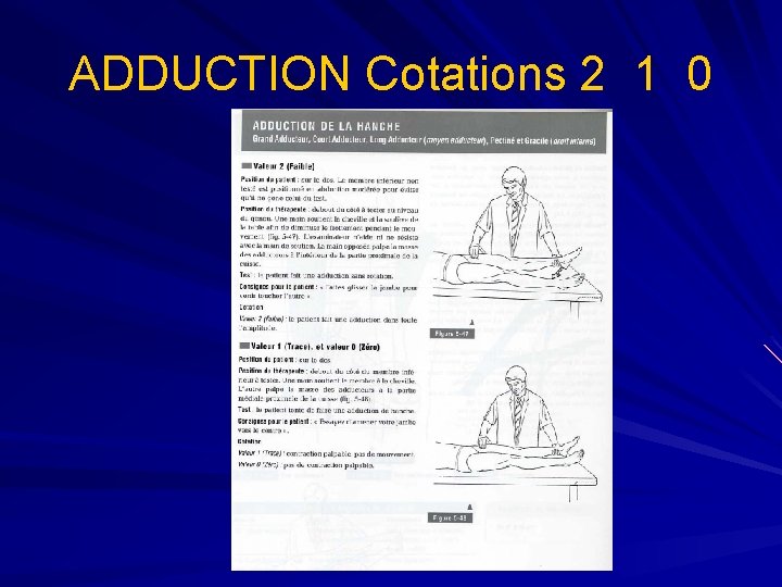 ADDUCTION Cotations 2 1 0 