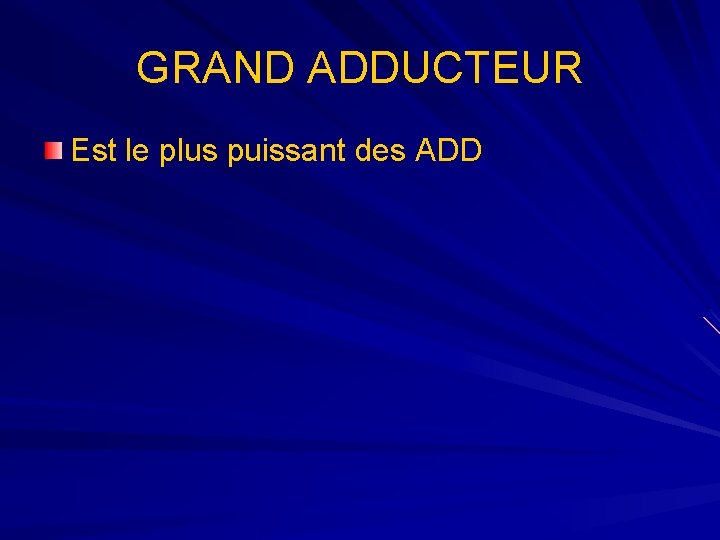 GRAND ADDUCTEUR Est le plus puissant des ADD 