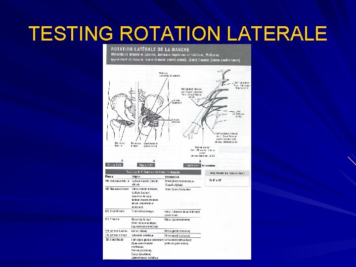 TESTING ROTATION LATERALE 