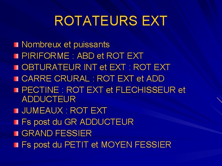 ROTATEURS EXT Nombreux et puissants PIRIFORME : ABD et ROT EXT OBTURATEUR INT et