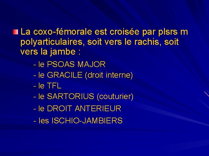 La coxo-fémorale est croisée par plsrs m polyarticulaires, soit vers le rachis, soit vers