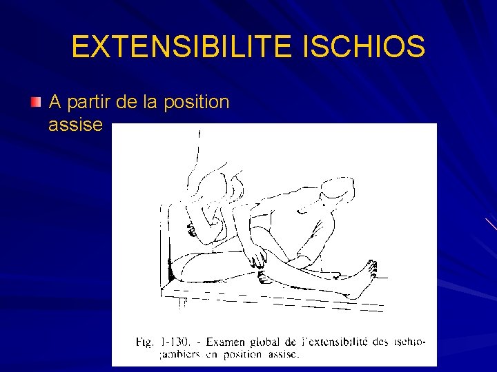 EXTENSIBILITE ISCHIOS A partir de la position assise 