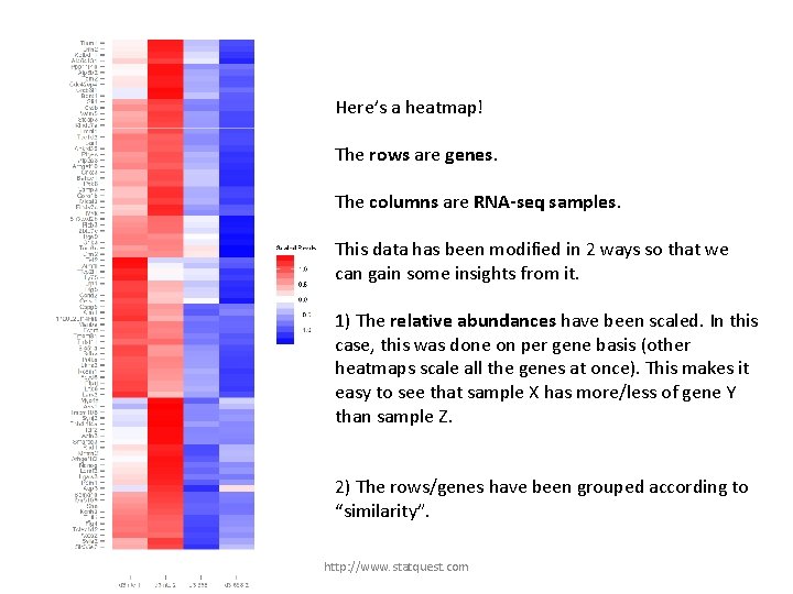 Here’s a heatmap! The rows are genes. The columns are RNA-seq samples. This data