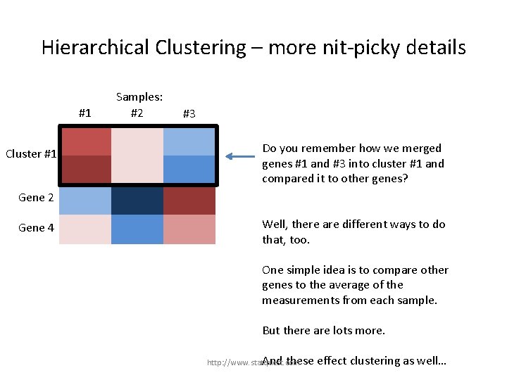 Hierarchical Clustering – more nit-picky details #1 Gene 1 Cluster #1 Gene 3 Samples: