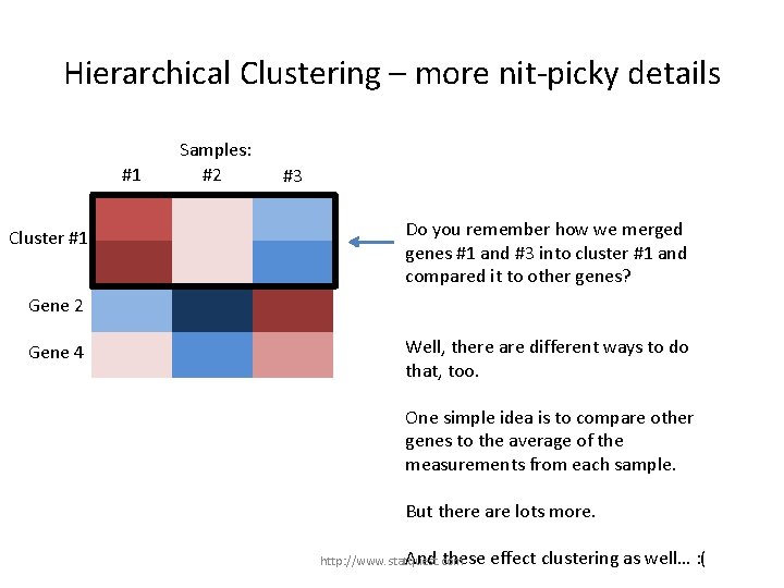 Hierarchical Clustering – more nit-picky details #1 Gene 1 Cluster #1 Gene 3 Samples: