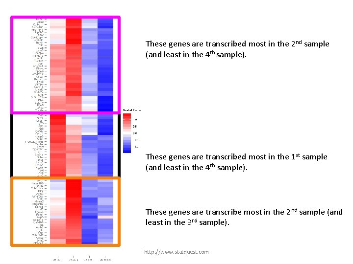 These genes are transcribed most in the 2 nd sample (and least in the