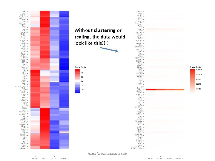 Without clustering or scaling, the data would look like this!!!! http: //www. statquest. com