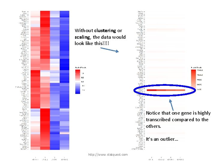 Without clustering or scaling, the data would look like this!!!! Notice that one gene