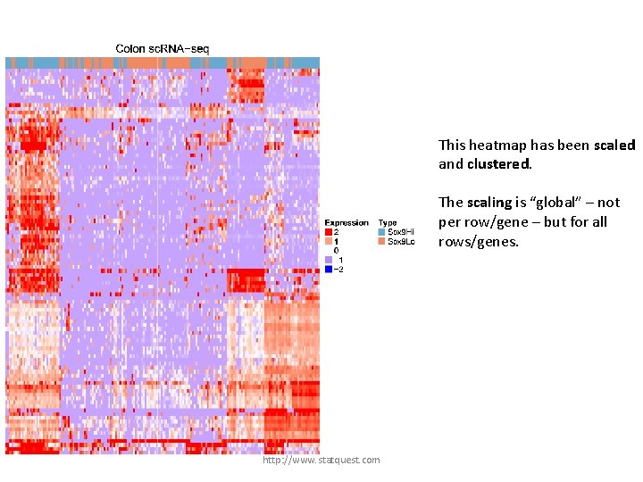 This heatmap has been scaled and clustered. The scaling is “global” – not per