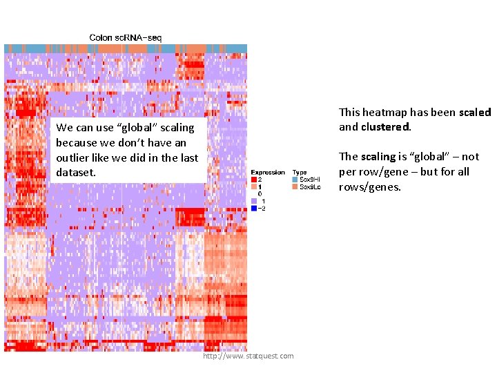 This heatmap has been scaled and clustered. We can use “global” scaling because we