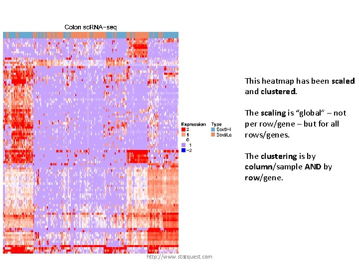 This heatmap has been scaled and clustered. The scaling is “global” – not per