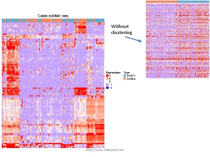 Without clustering http: //www. statquest. com 