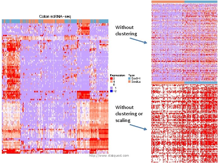 Without clustering or scaling http: //www. statquest. com 