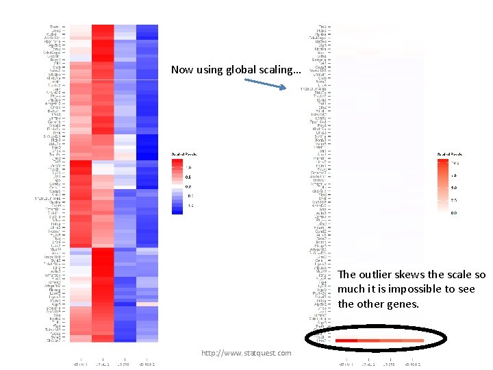 Now using global scaling… The outlier skews the scale so much it is impossible