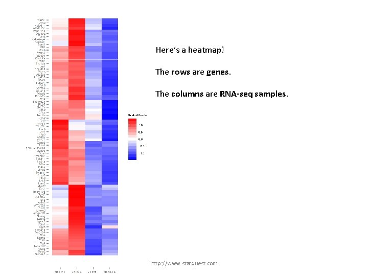 Here’s a heatmap! The rows are genes. The columns are RNA-seq samples. http: //www.