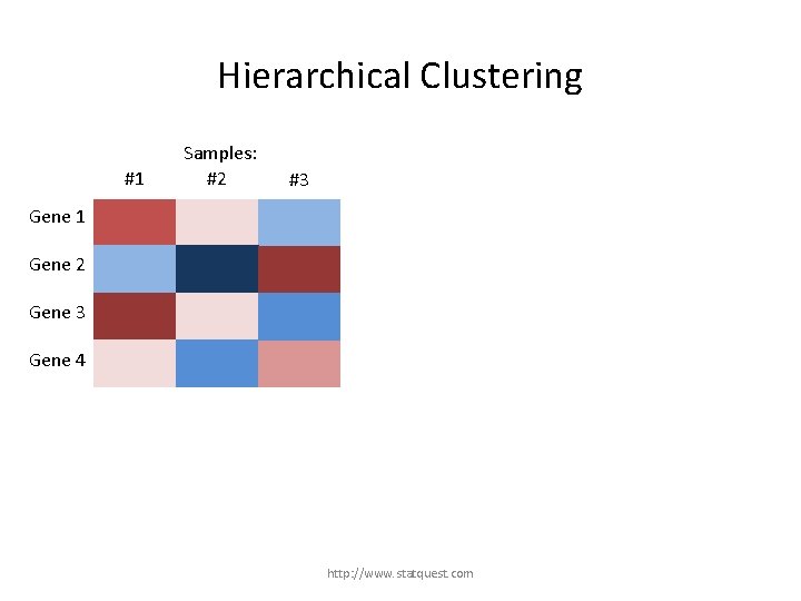 Hierarchical Clustering #1 Samples: #2 #3 Gene 1 Gene 2 Gene 3 Gene 4