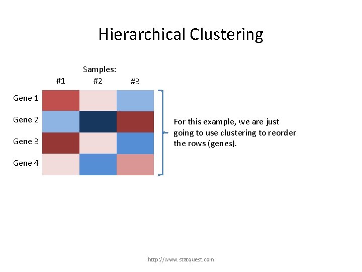 Hierarchical Clustering #1 Samples: #2 #3 Gene 1 Gene 2 Gene 3 For this