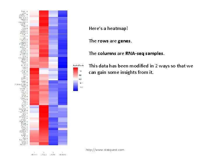 Here’s a heatmap! The rows are genes. The columns are RNA-seq samples. This data