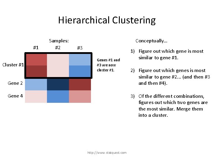 Hierarchical Clustering #1 Gene 1 Cluster #1 Gene 3 Samples: #2 Conceptually… #3 Genes