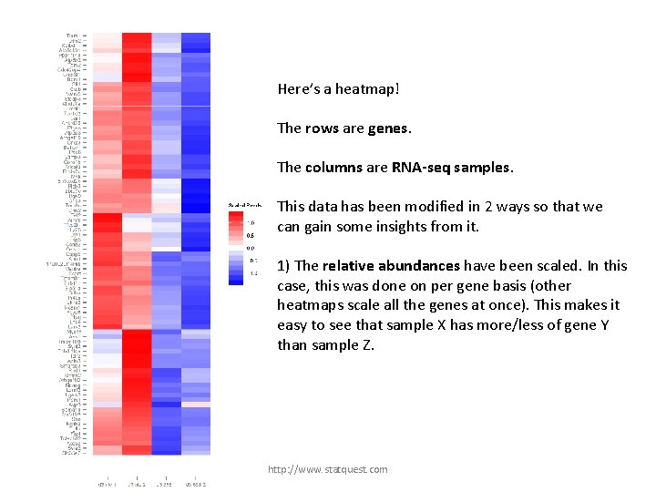 Here’s a heatmap! The rows are genes. The columns are RNA-seq samples. This data