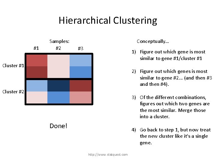 Hierarchical Clustering #1 Samples: #2 Conceptually… #3 1) Figure out which gene is most