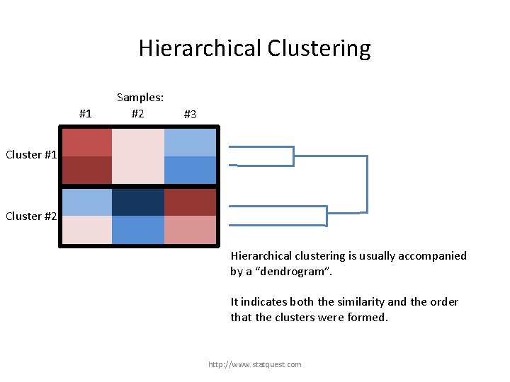 Hierarchical Clustering #1 Samples: #2 #3 Cluster #1 Cluster #2 Hierarchical clustering is usually
