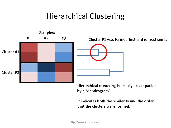 Hierarchical Clustering #1 Samples: #2 #3 Cluster #1 was formed first and is most