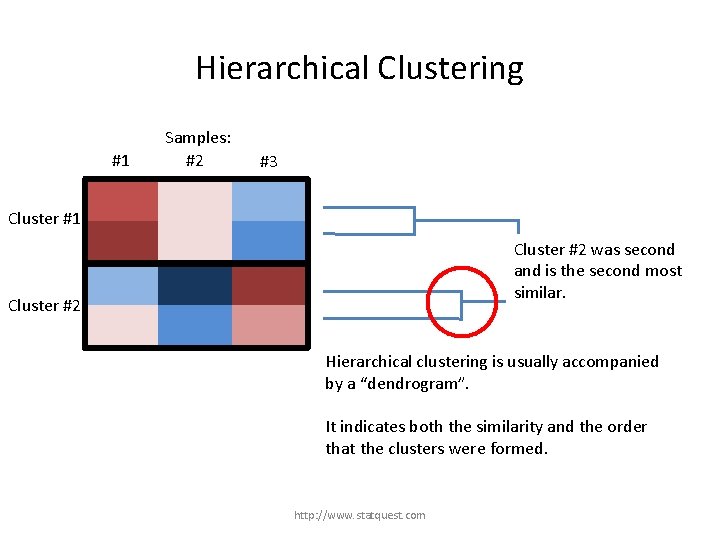 Hierarchical Clustering #1 Samples: #2 #3 Cluster #1 Cluster #2 was second and is