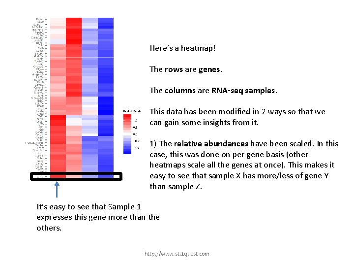 Here’s a heatmap! The rows are genes. The columns are RNA-seq samples. This data