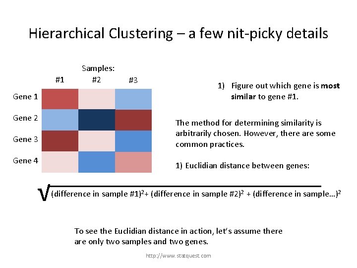 Hierarchical Clustering – a few nit-picky details #1 Samples: #2 #3 1) Figure out