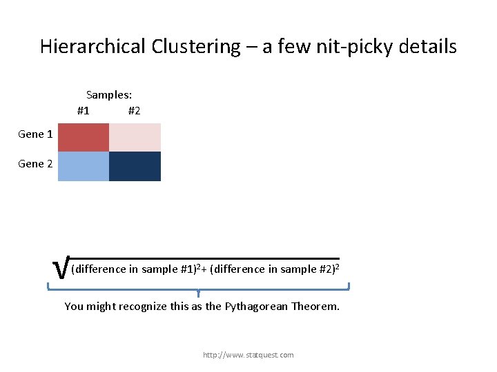 Hierarchical Clustering – a few nit-picky details Samples: #1 #2 Gene 1 Gene 2