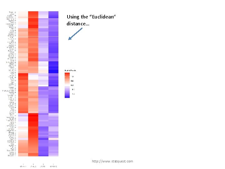 Using the “Euclidean” distance… http: //www. statquest. com 