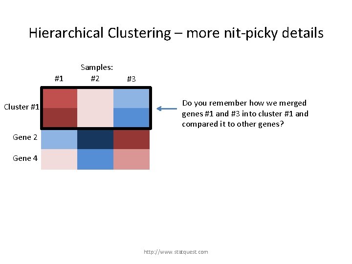 Hierarchical Clustering – more nit-picky details #1 Gene 1 Cluster #1 Gene 3 Samples: