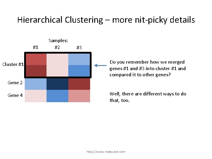 Hierarchical Clustering – more nit-picky details #1 Gene 1 Cluster #1 Gene 3 Samples: