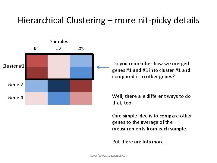 Hierarchical Clustering – more nit-picky details #1 Gene 1 Cluster #1 Gene 3 Samples: